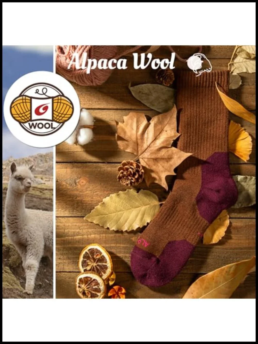 N/A these alpaca